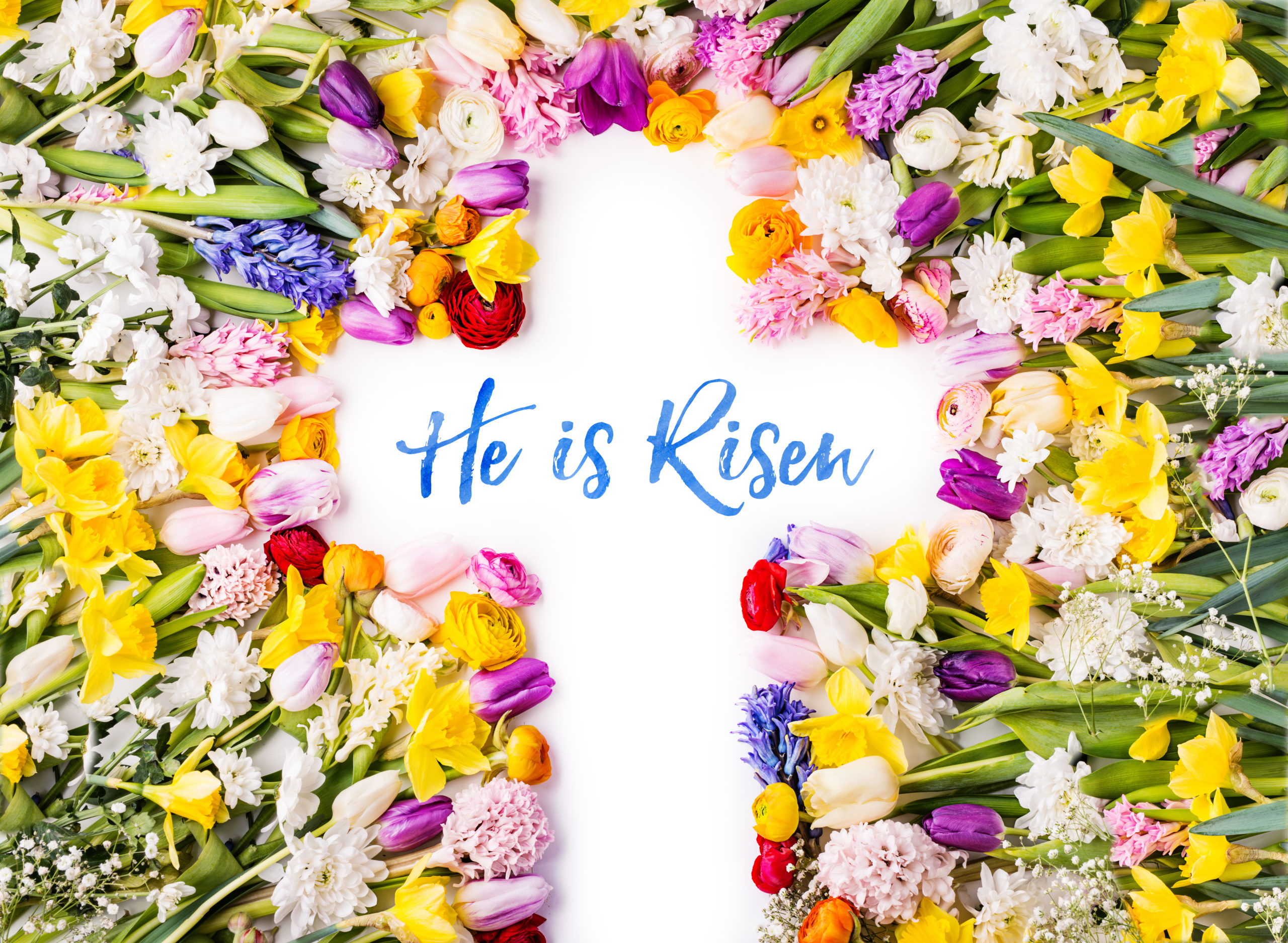 He is risen phrase on a cross. Colorful flowers background. Studio shot. Flat lay.